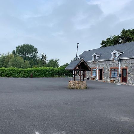 Cut Limestone Apartment Riverside Lodge Carlow Extérieur photo