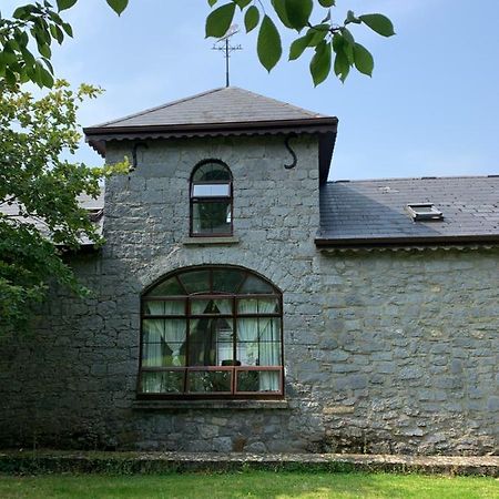 Cut Limestone Apartment Riverside Lodge Carlow Extérieur photo