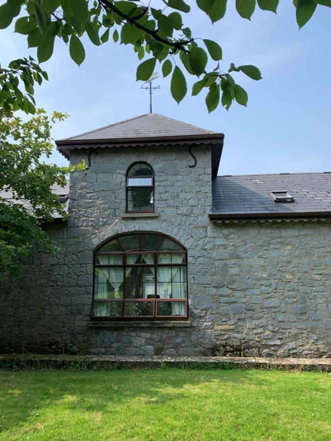 Cut Limestone Apartment Riverside Lodge Carlow Extérieur photo